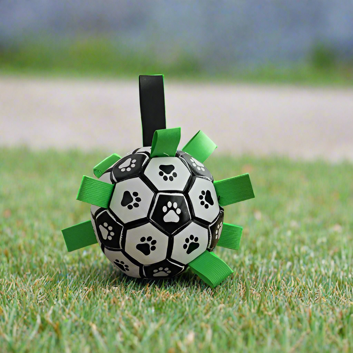 Interactive Soccer Brain Game for Dogs